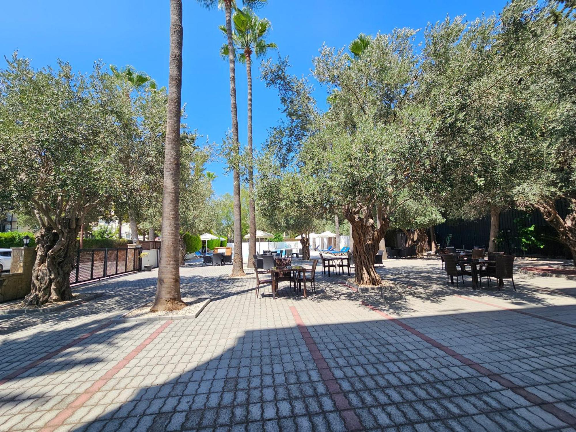 Park Palace Hotel كيرينيا المظهر الخارجي الصورة